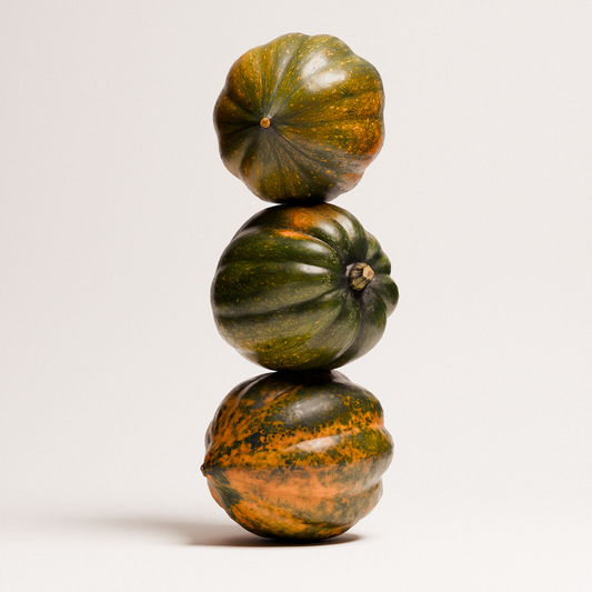 Acorn Squash Set 02