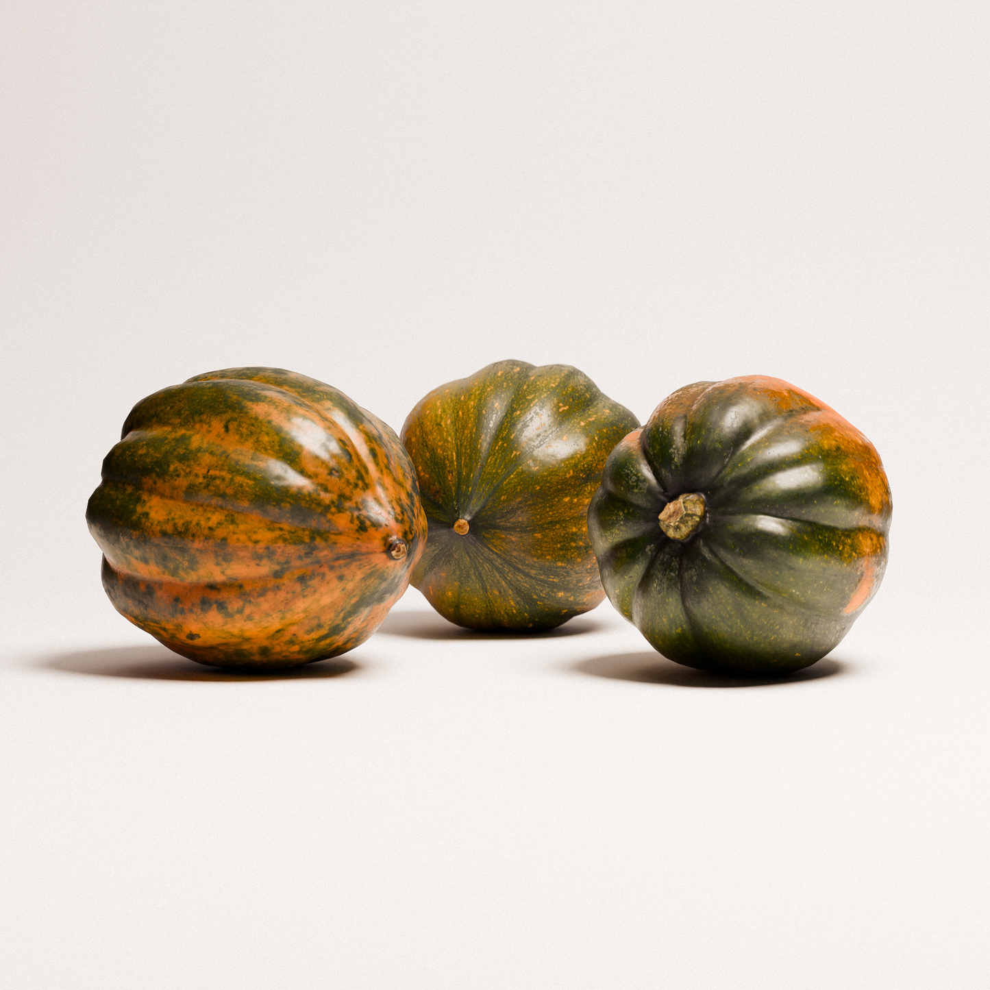 Acorn Squash Set 02