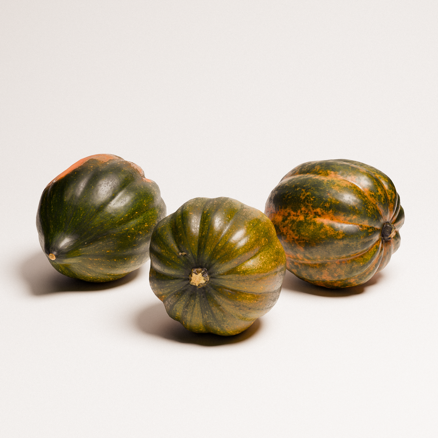 Acorn Squash Set 02