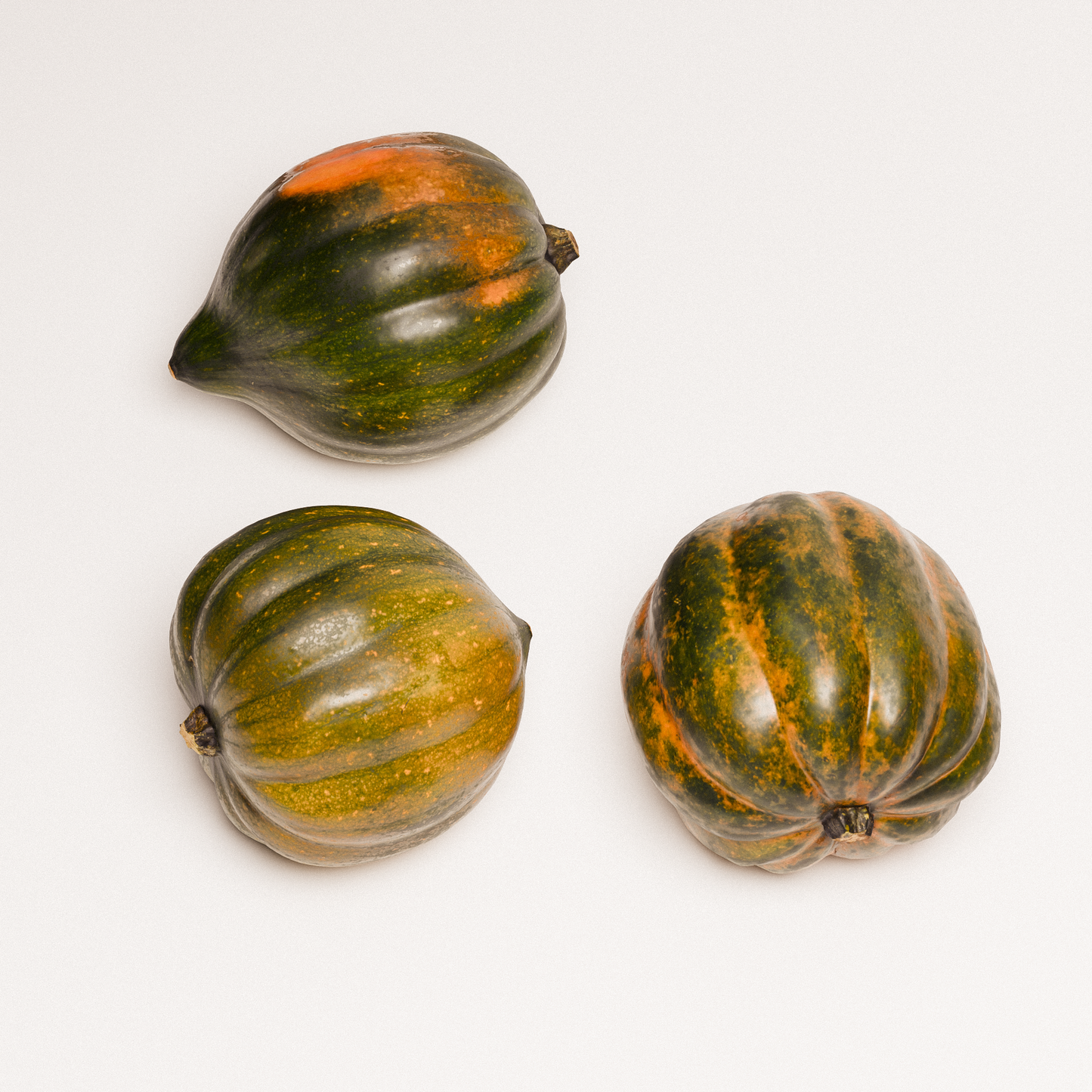 Acorn Squash Set 02