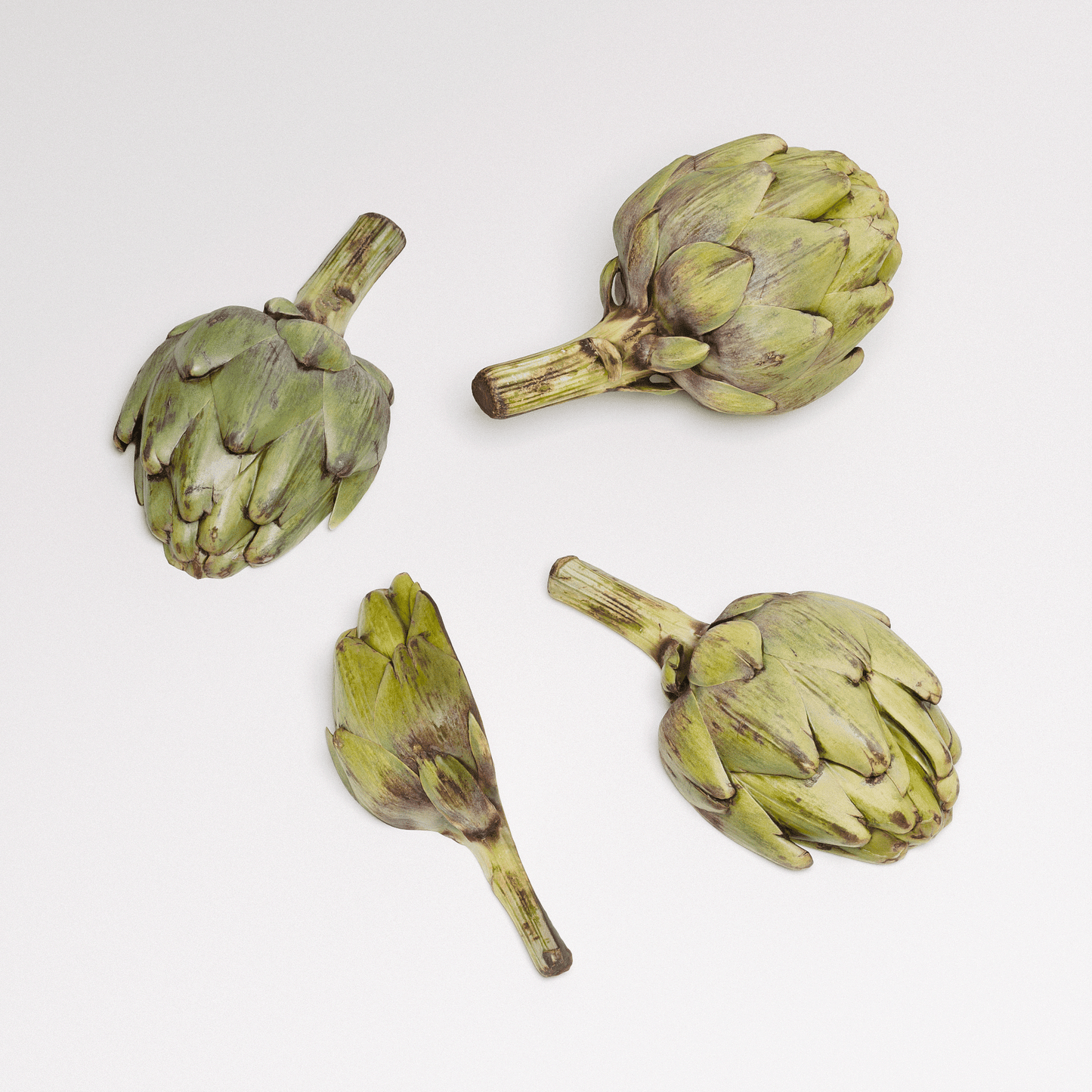 Artichoke Set 02