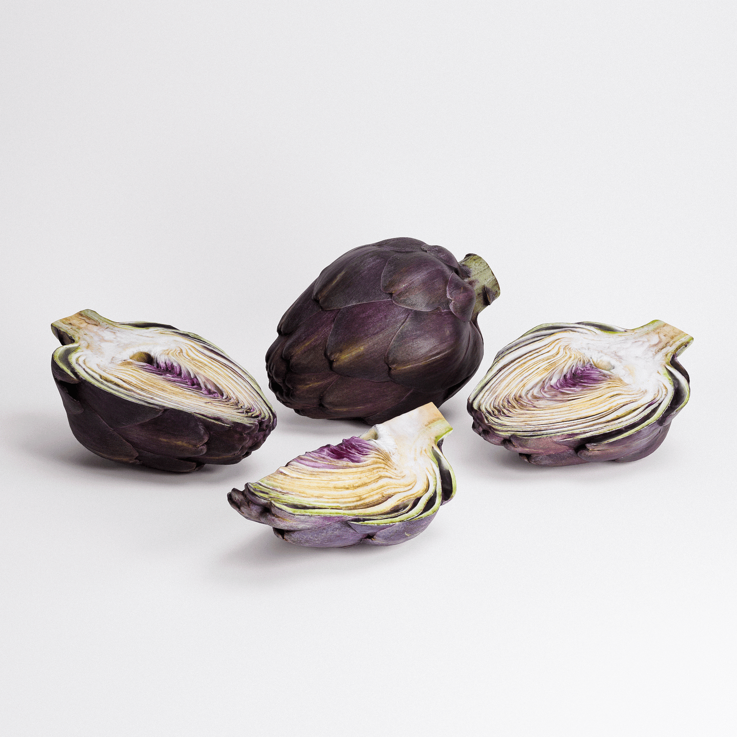 Artichoke Set 04