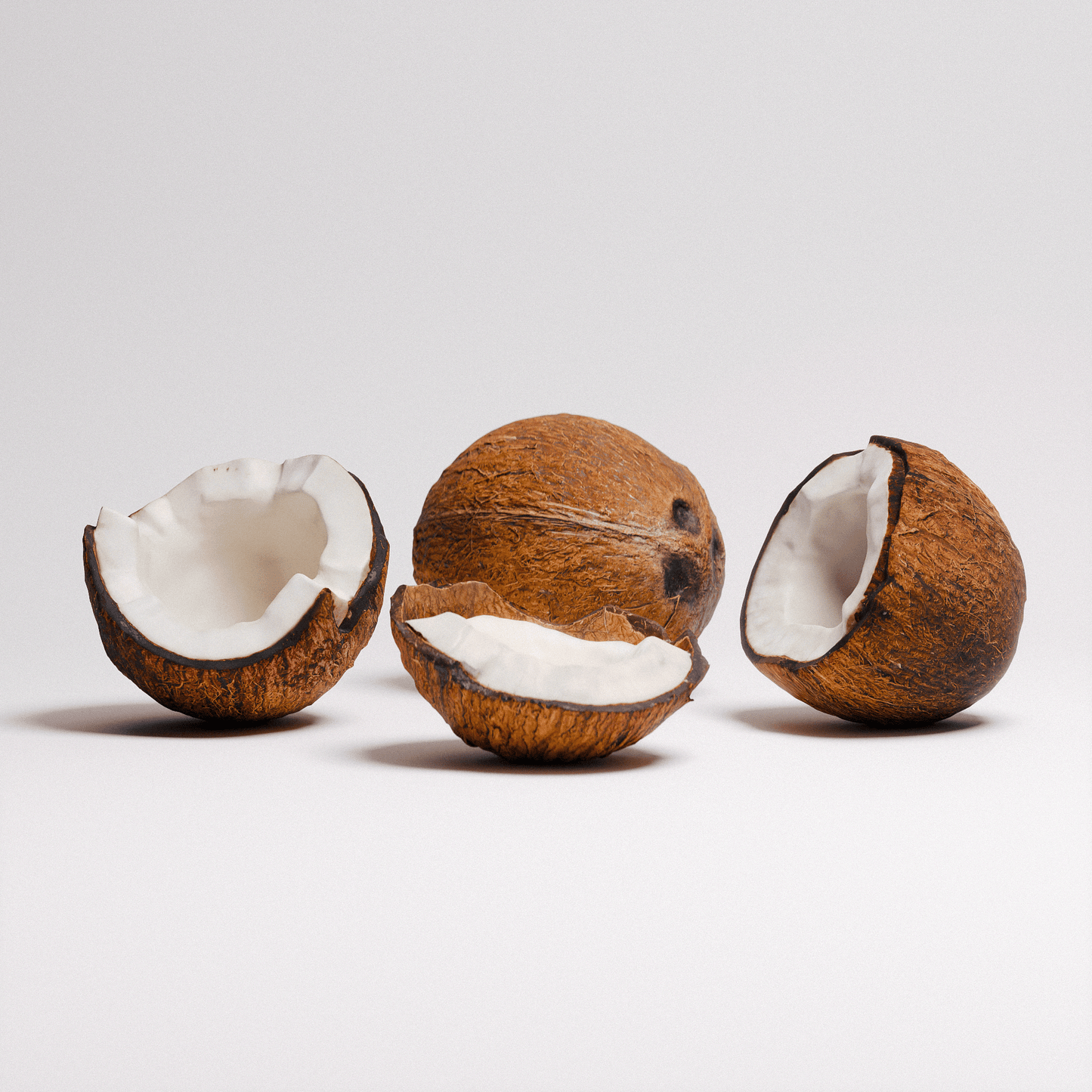 Coconut Set 01