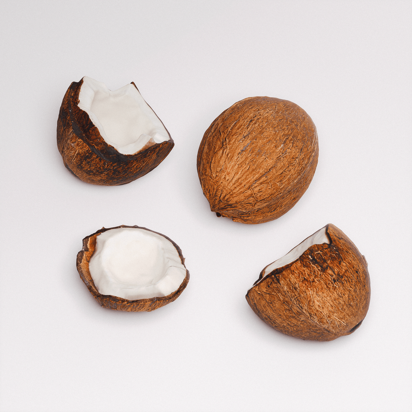 Coconut Set 01