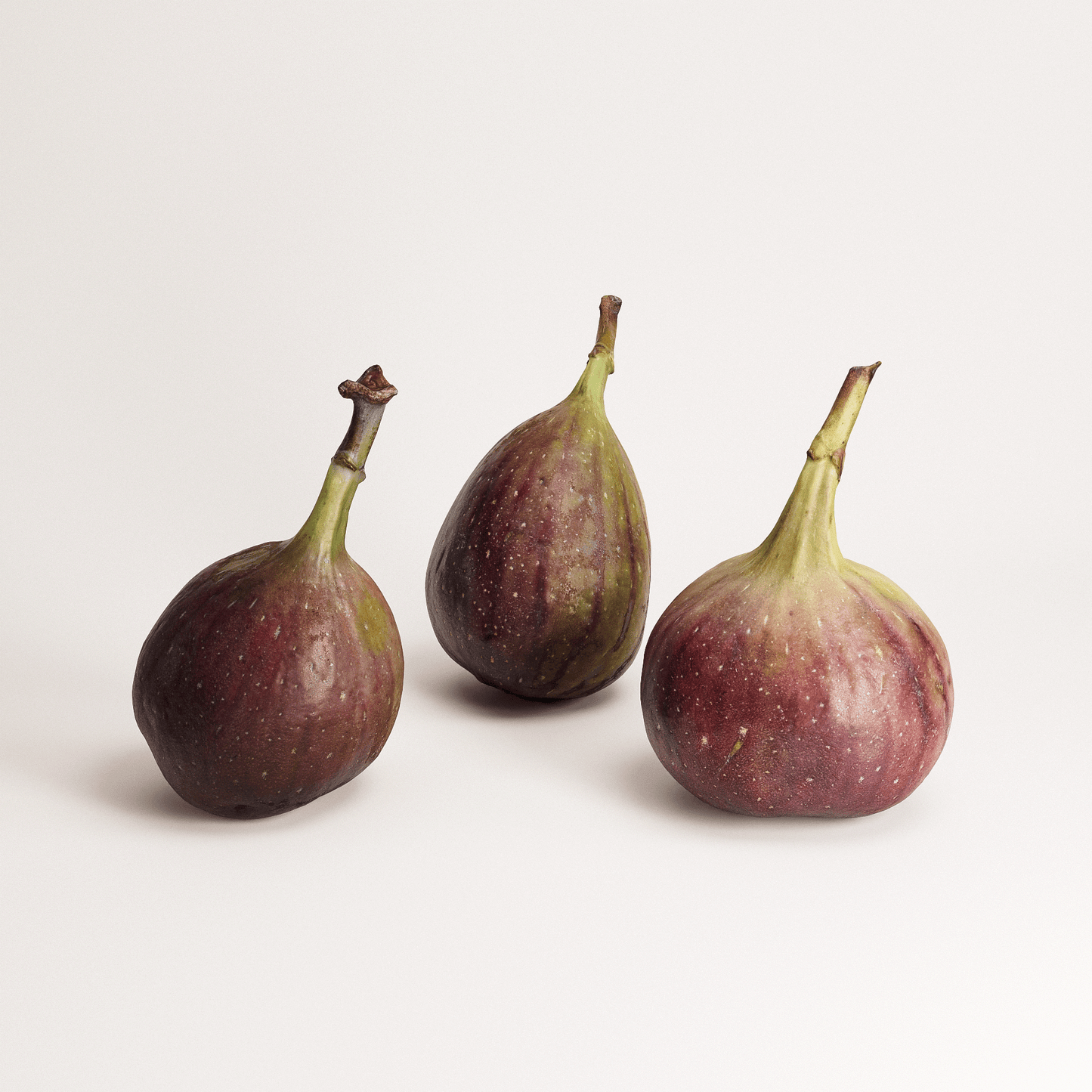 Fig Set 01