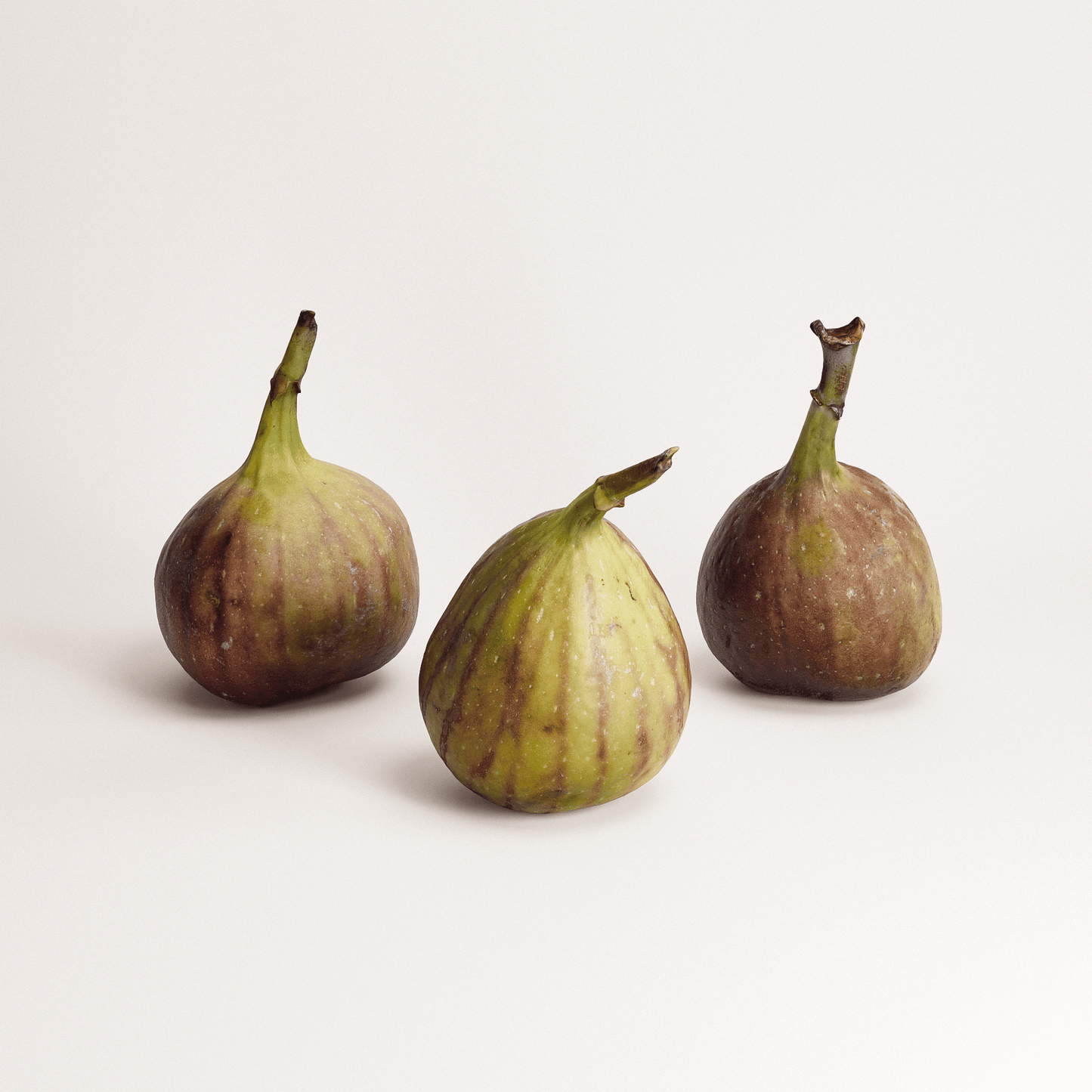 Fig Set 01