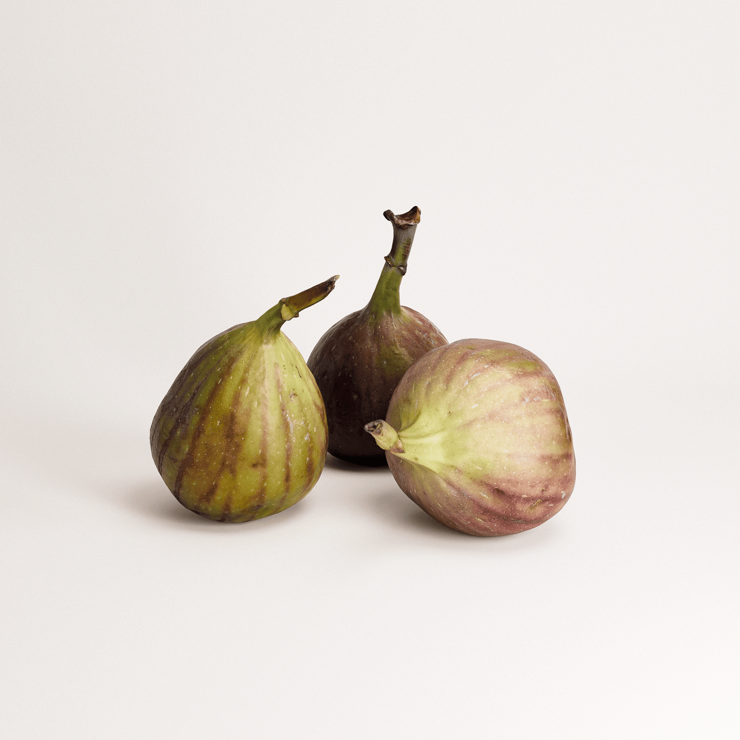 Fig Set 01