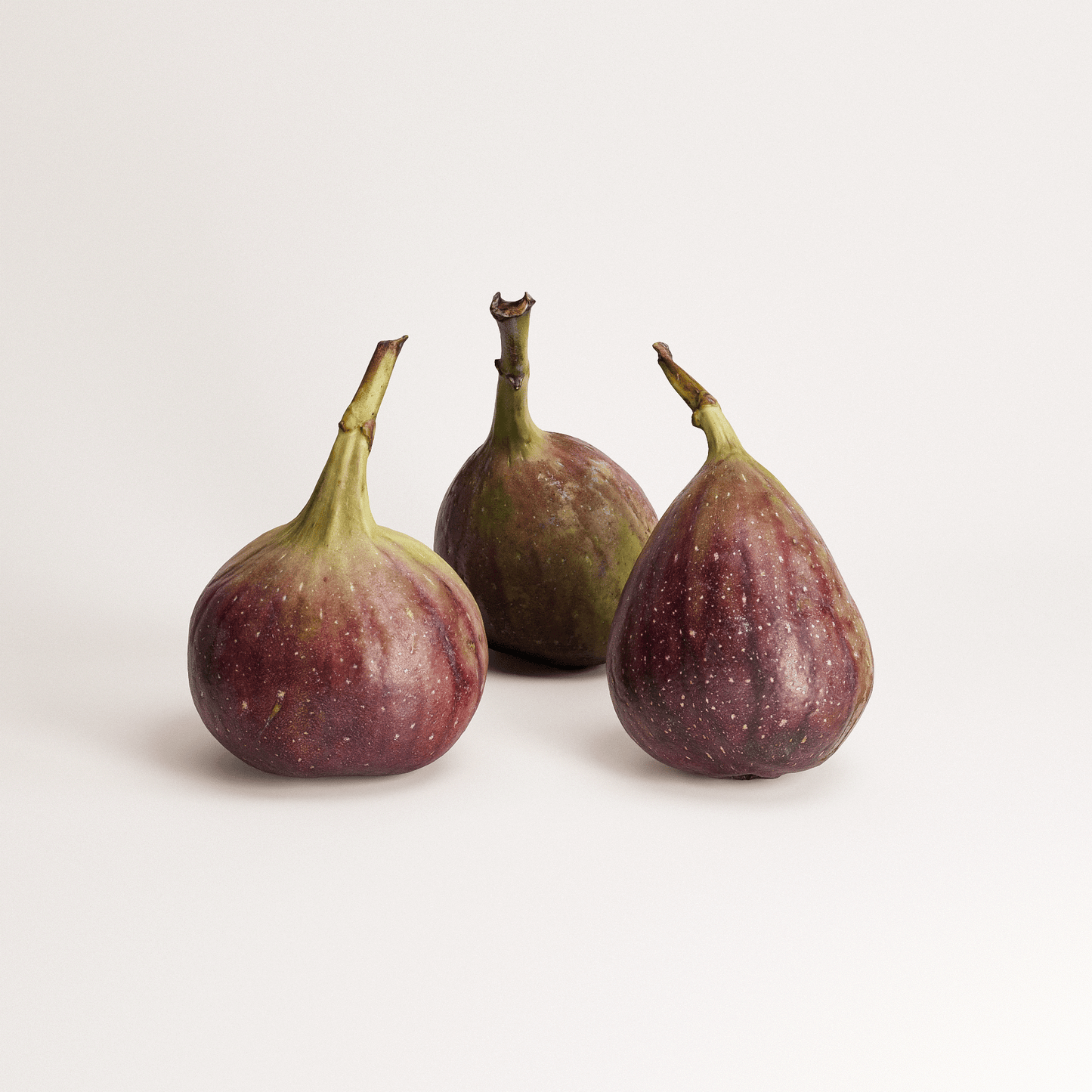 Fig Set 01