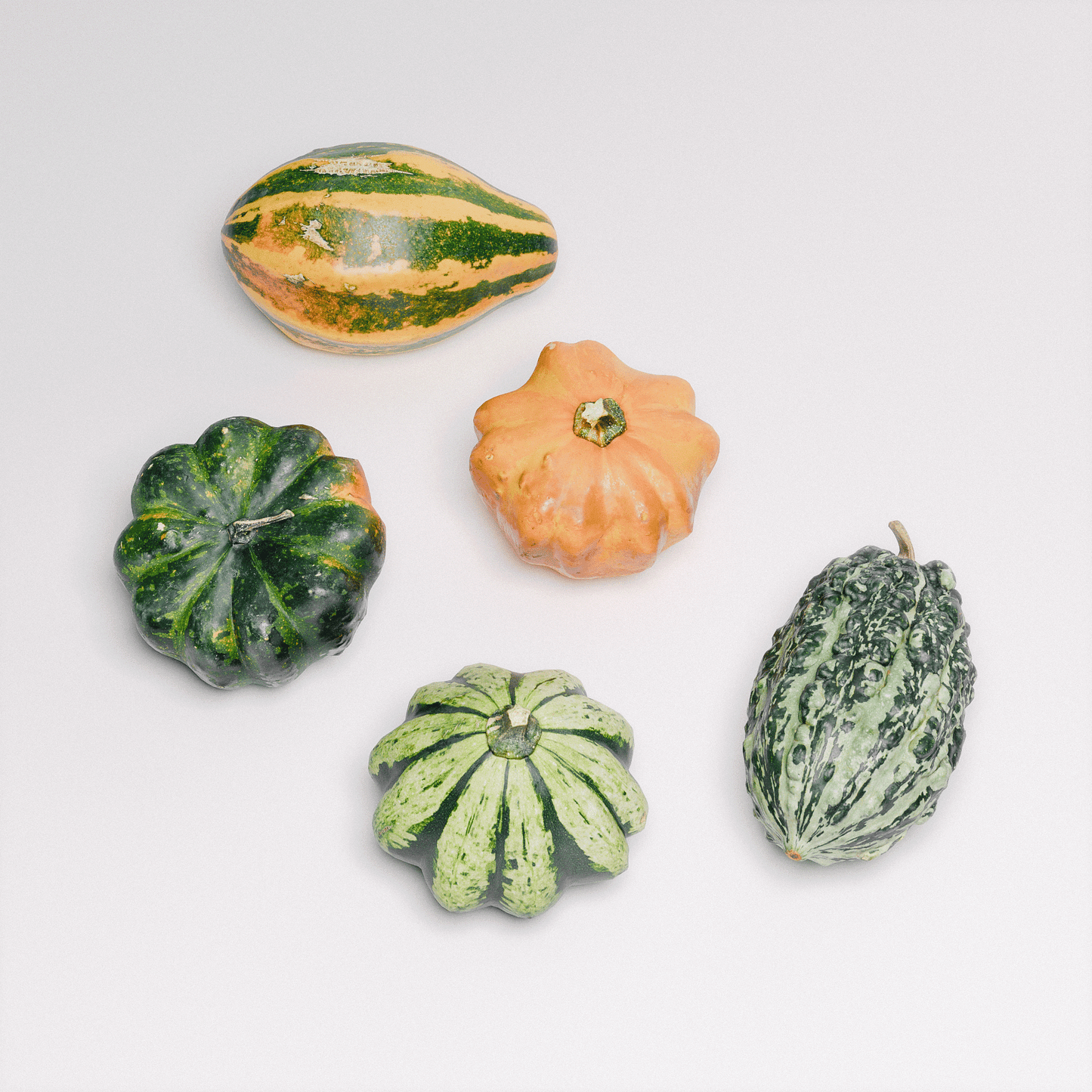 Gourds Set 01