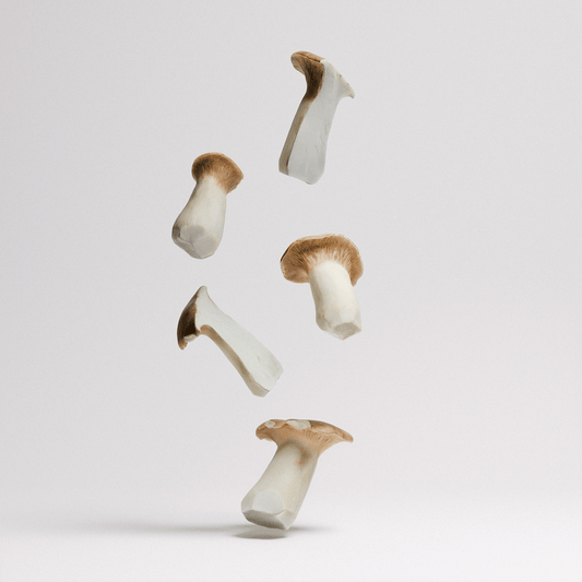 King Oyster Mushroom
