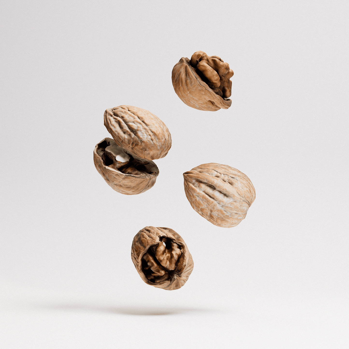 Walnuts Set 02