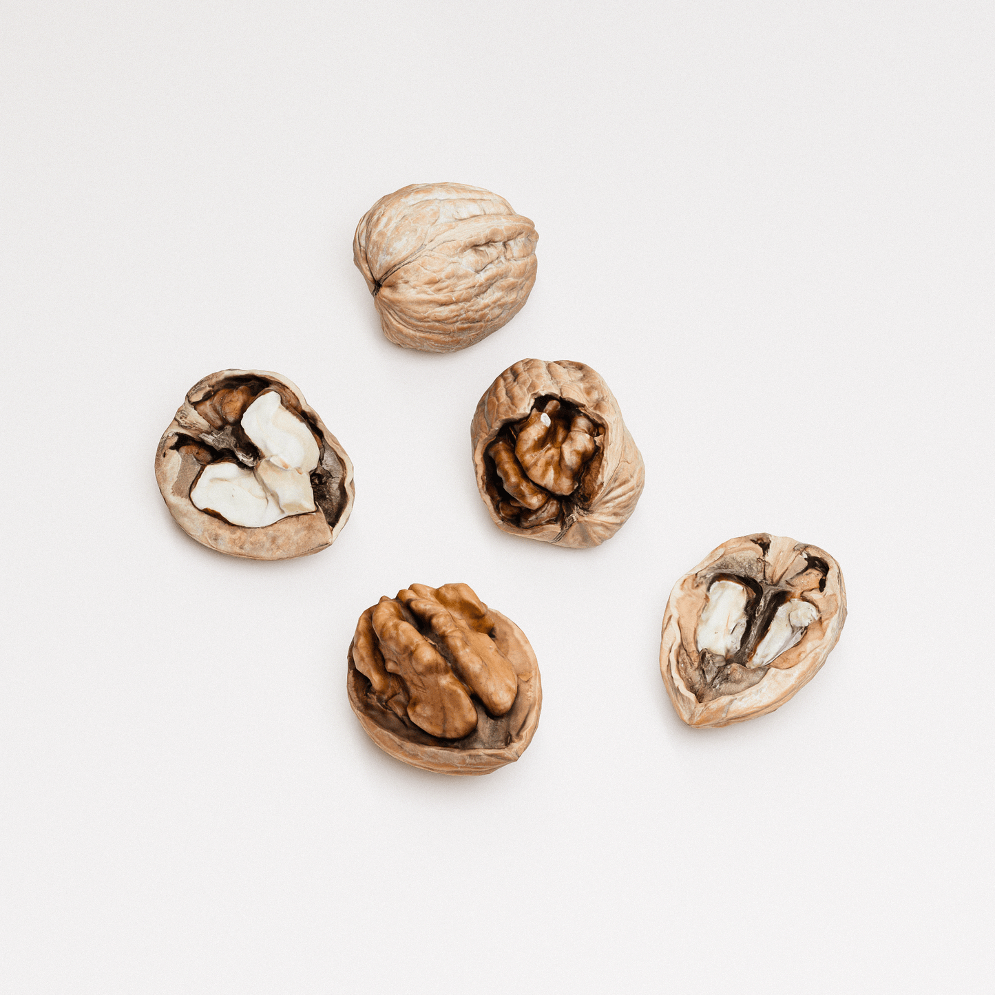 Walnuts Set 02