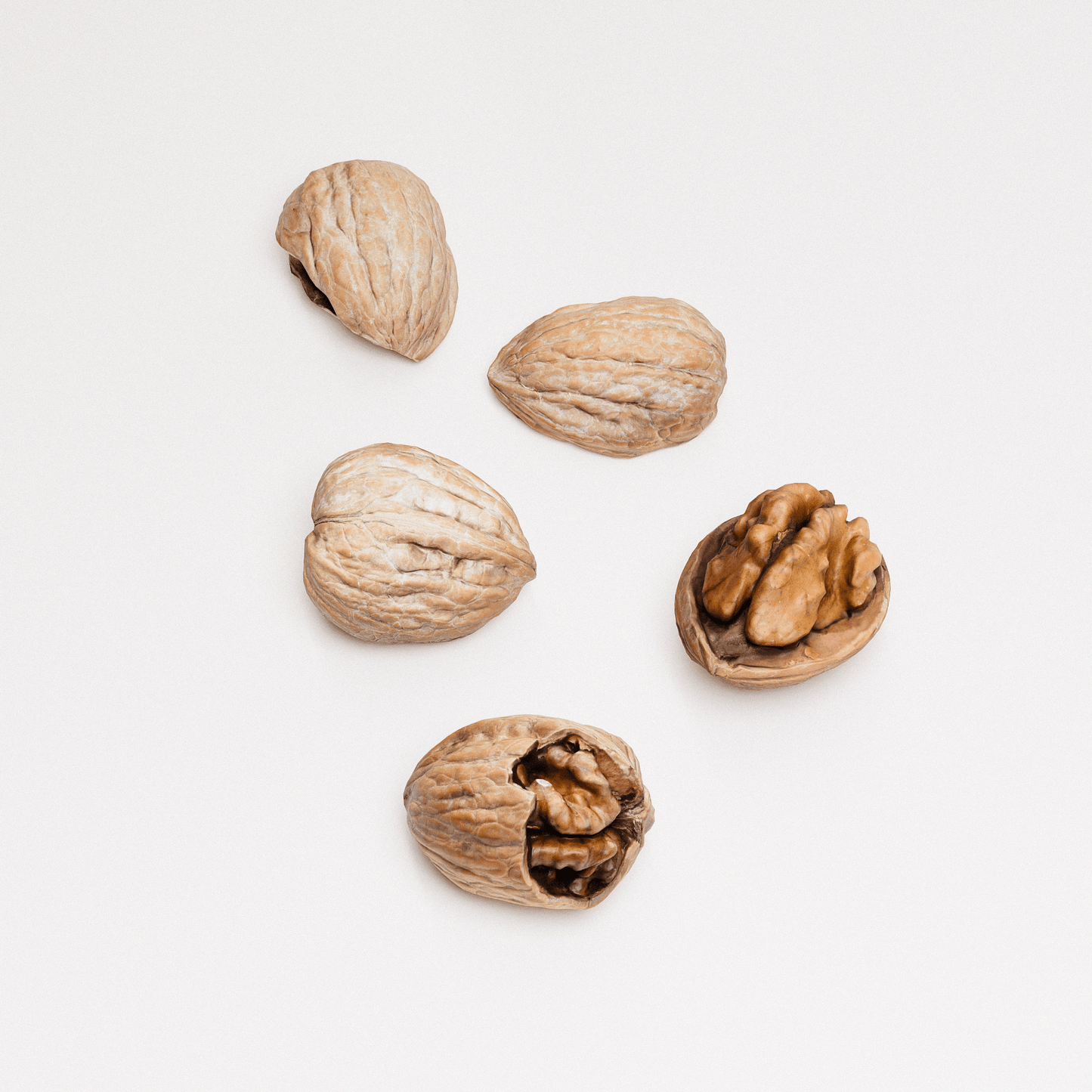 Walnuts Set 02