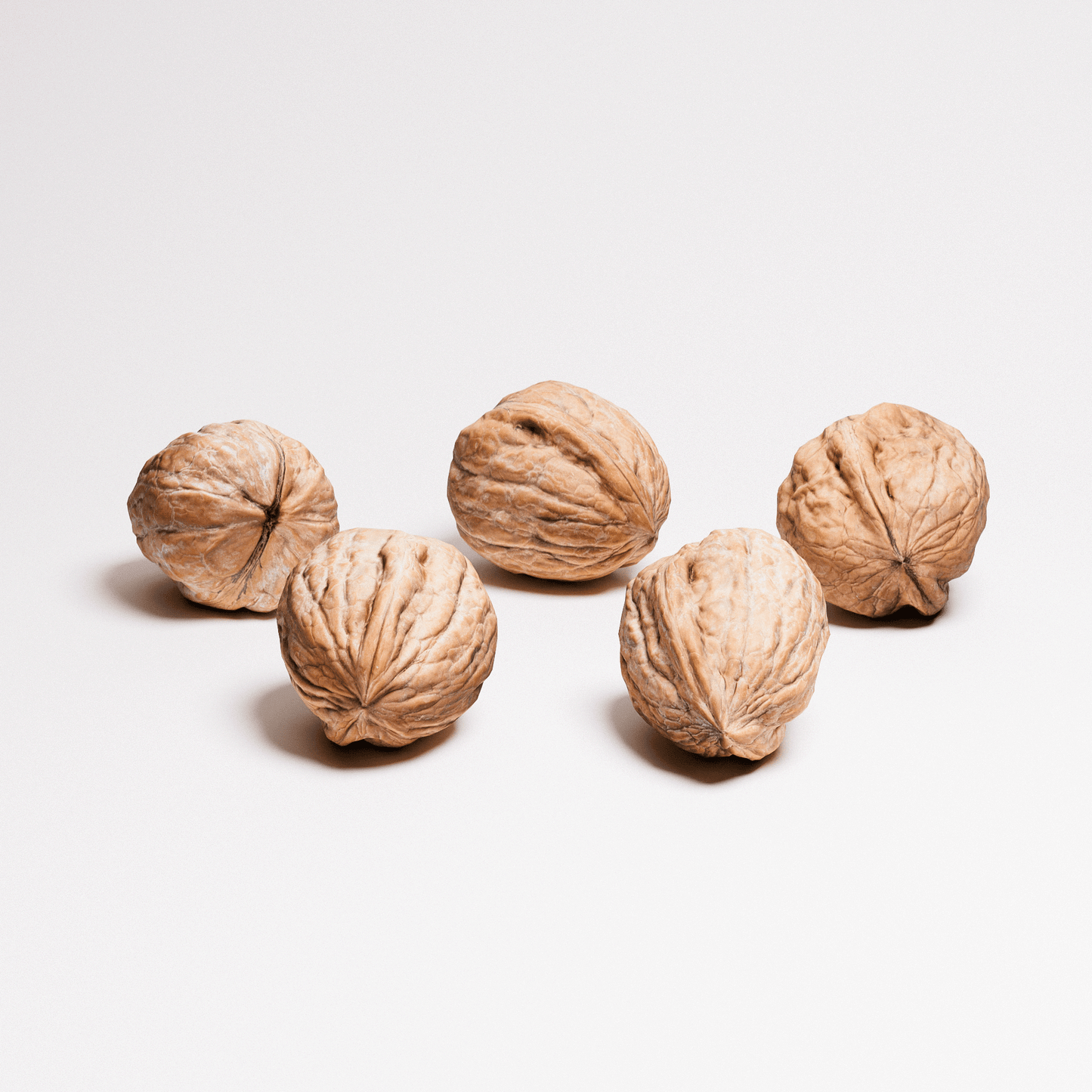 Walnuts Set 01