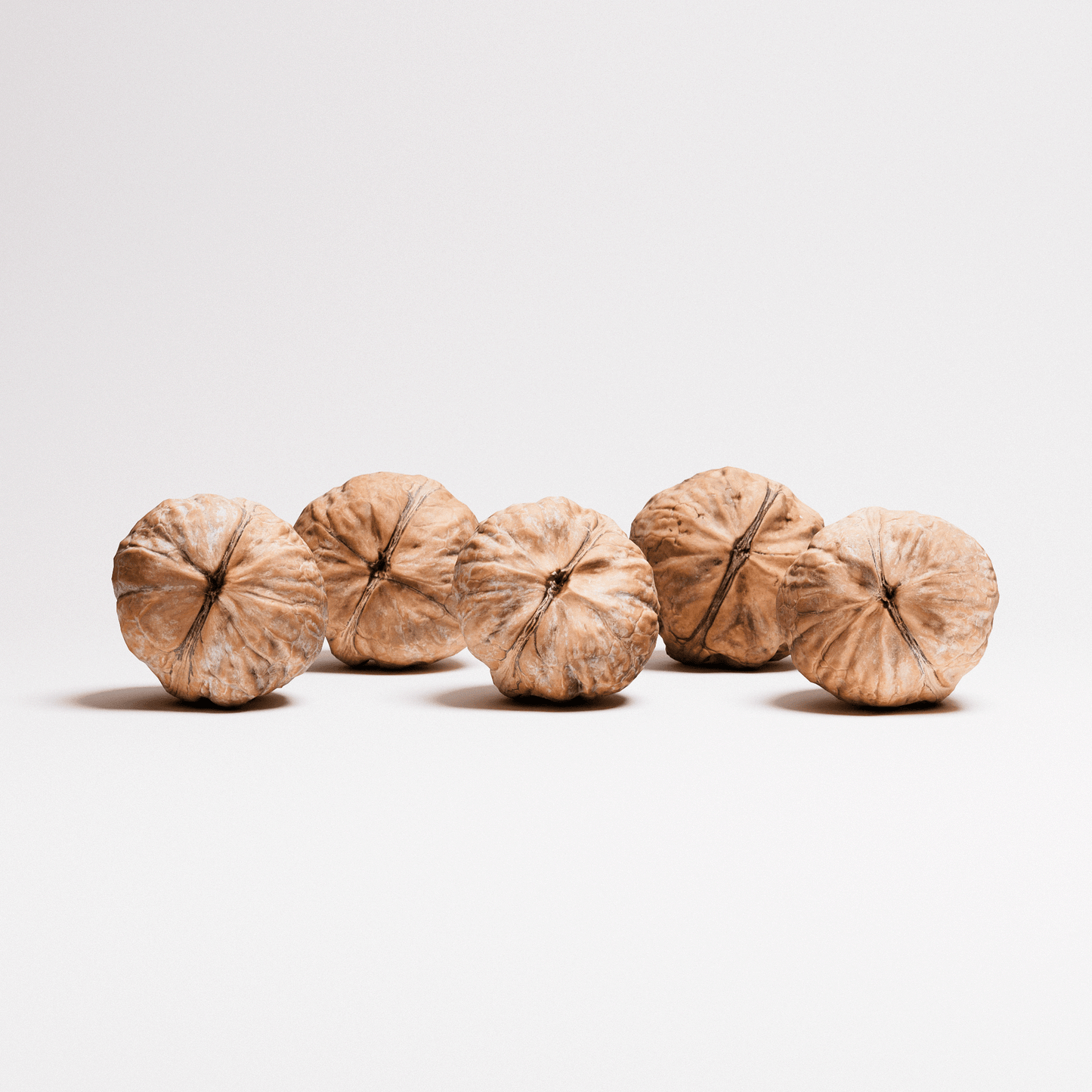 Walnuts Set 01