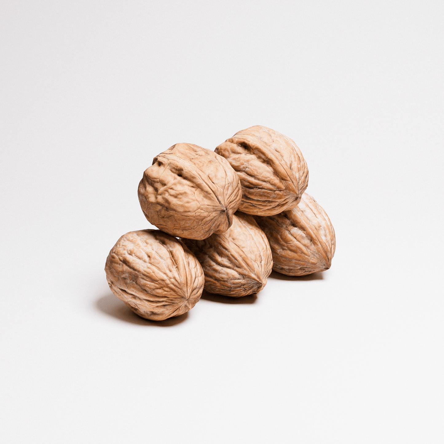 Walnuts Set 01