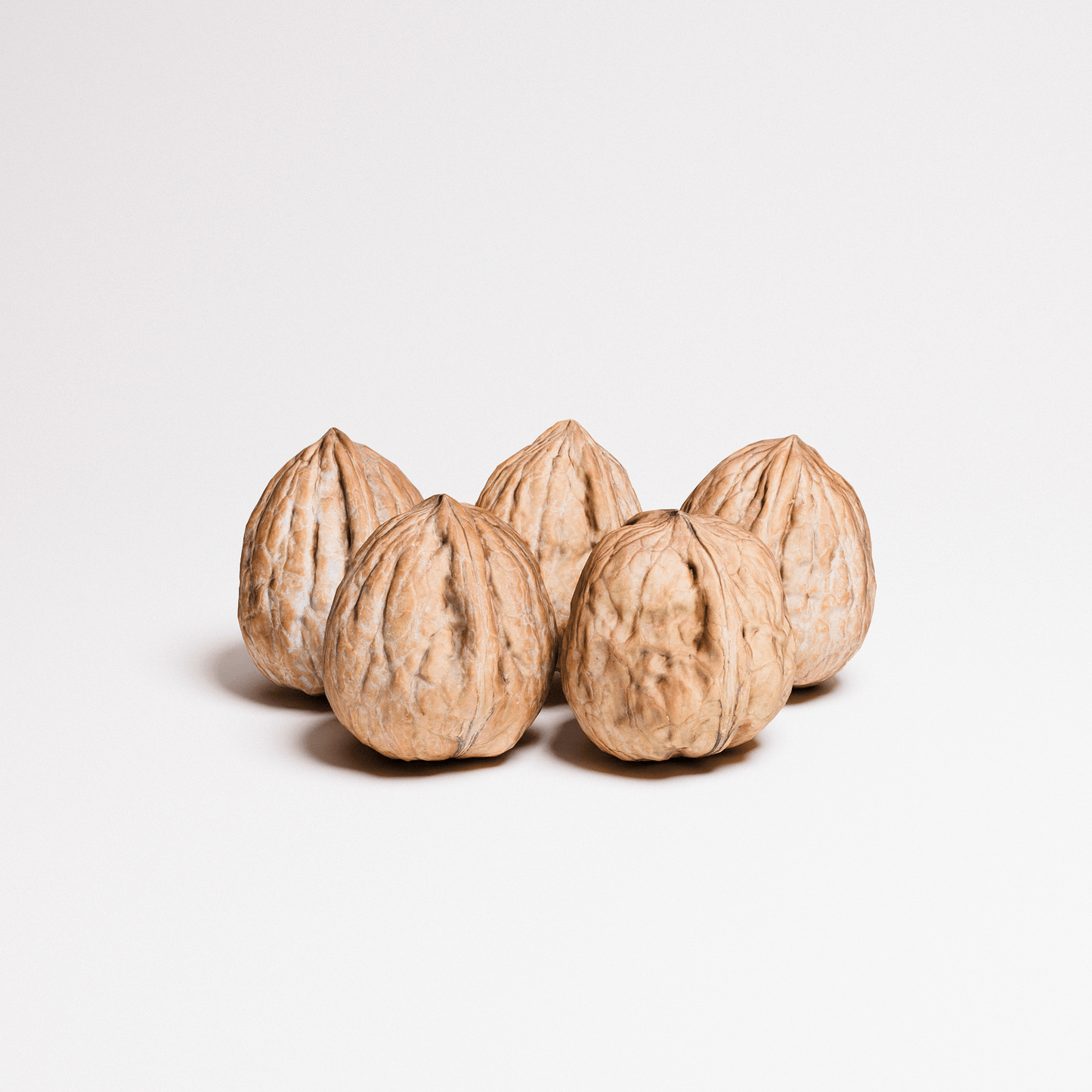 Walnuts Set 01