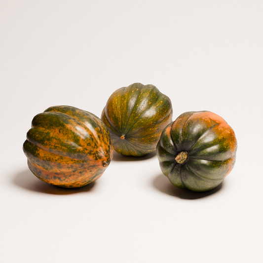 Acorn Squash Set 02
