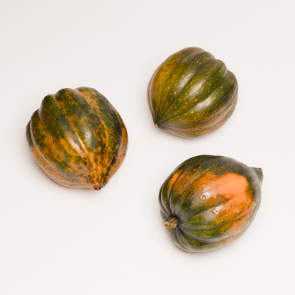 Acorn Squash Set 02