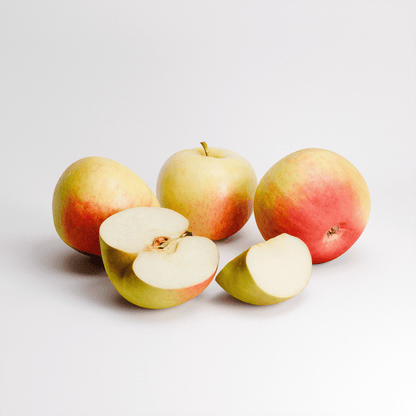 Apples Honeycrisp Set
