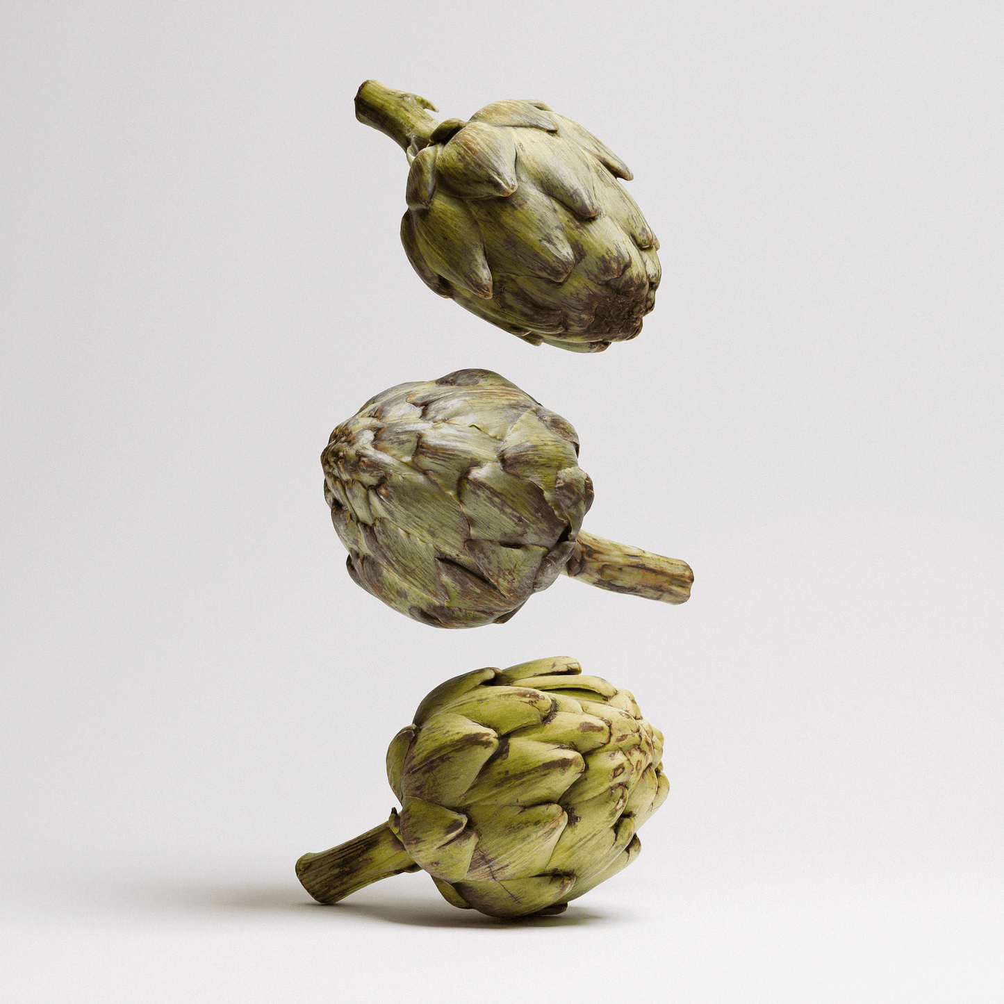 Artichoke Set 01