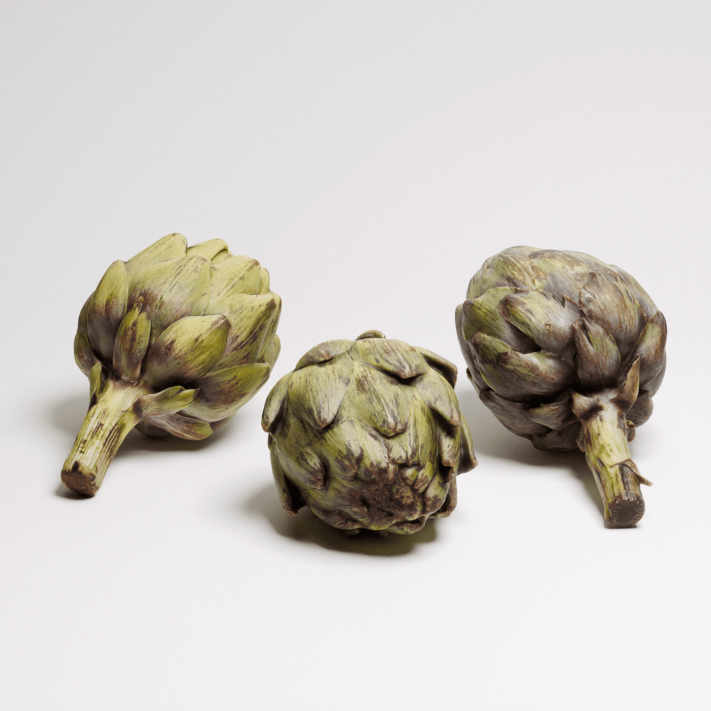 Artichoke Set 01