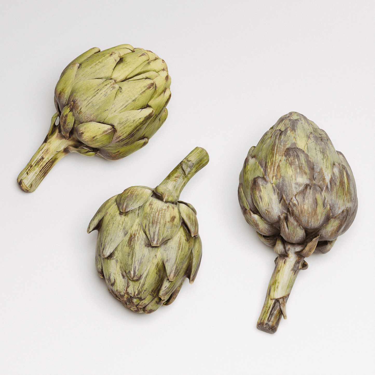 Artichoke Set 01