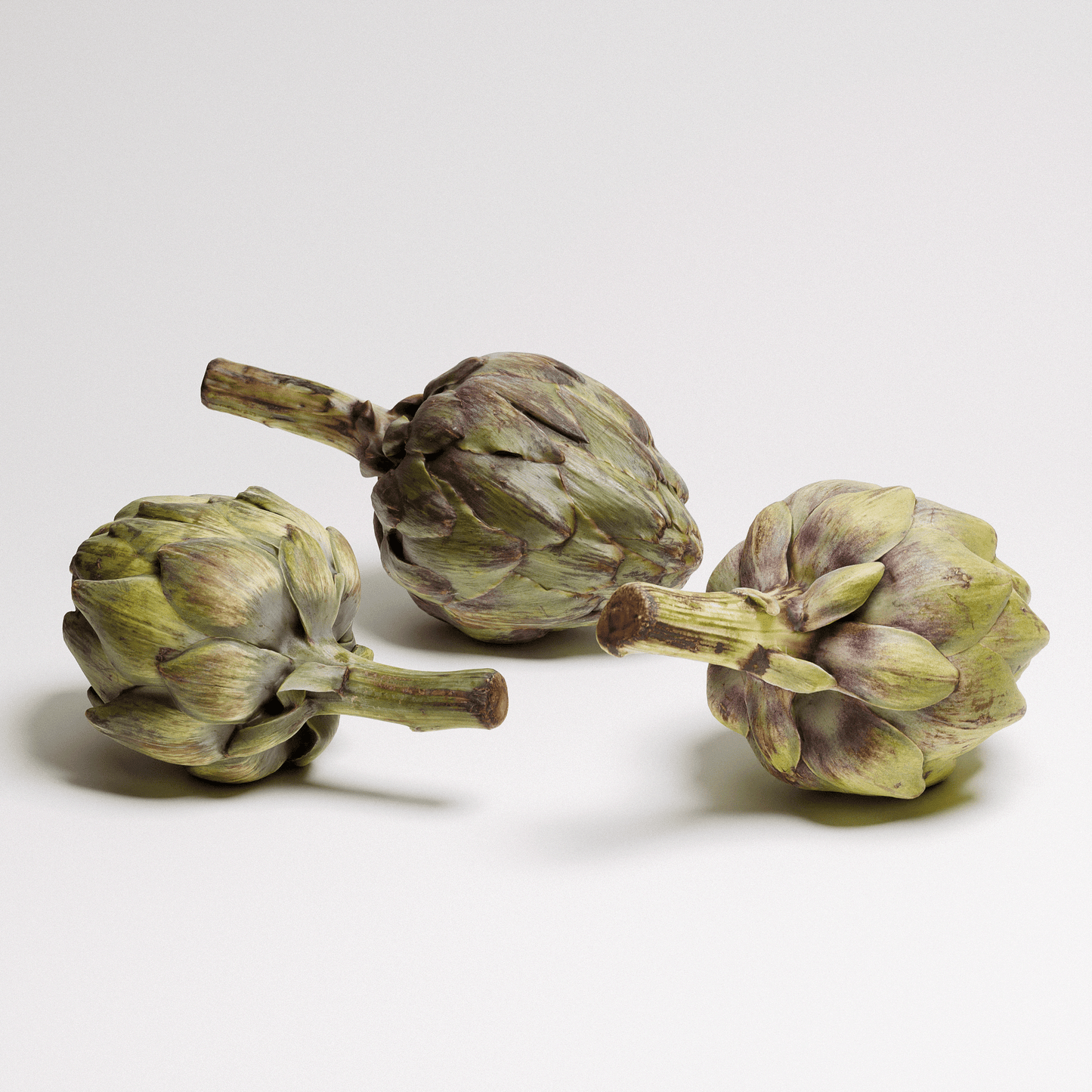 Artichoke Set 01