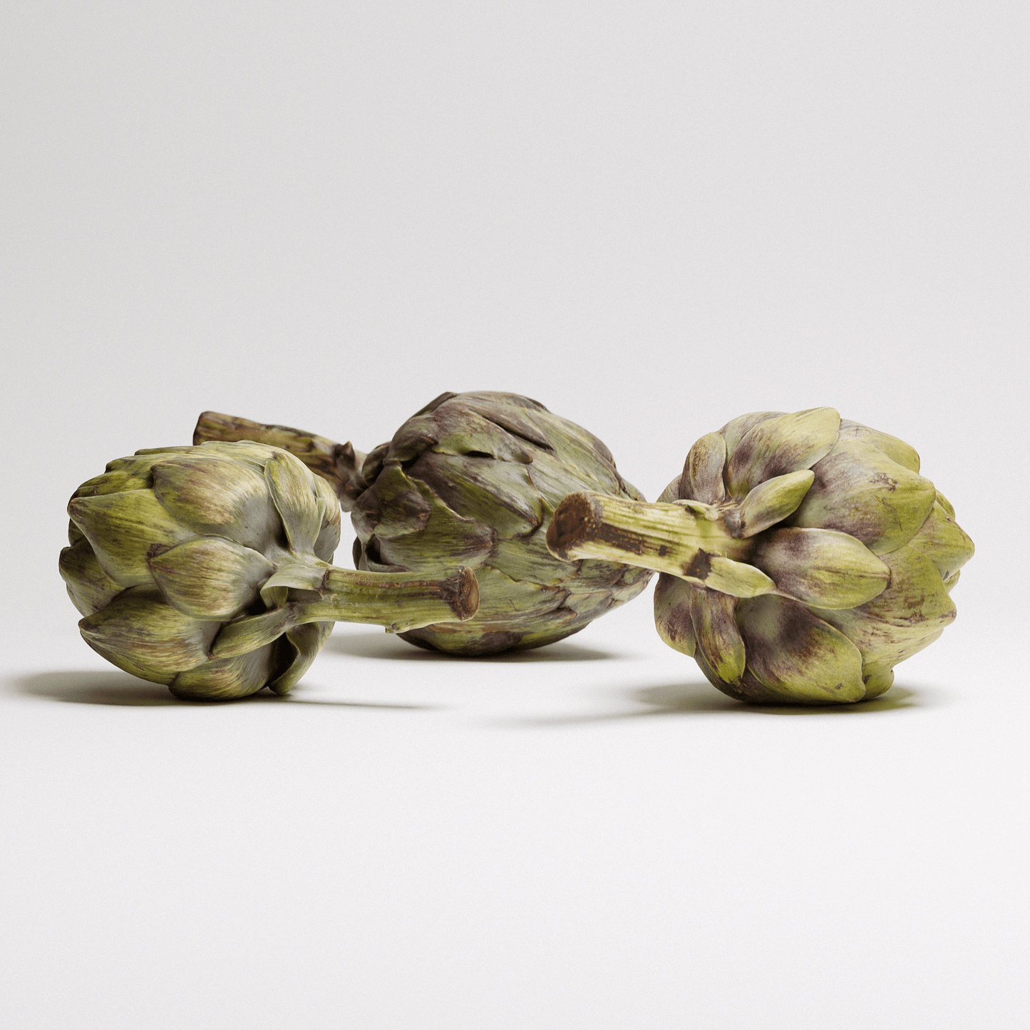 Artichoke Set 01