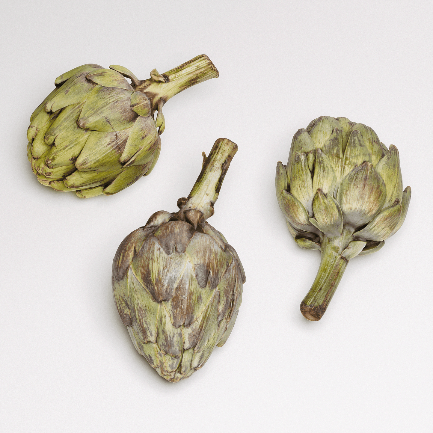 Artichoke Set 01