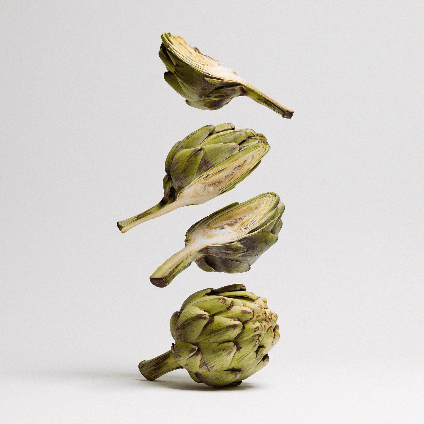 Artichoke Set 02