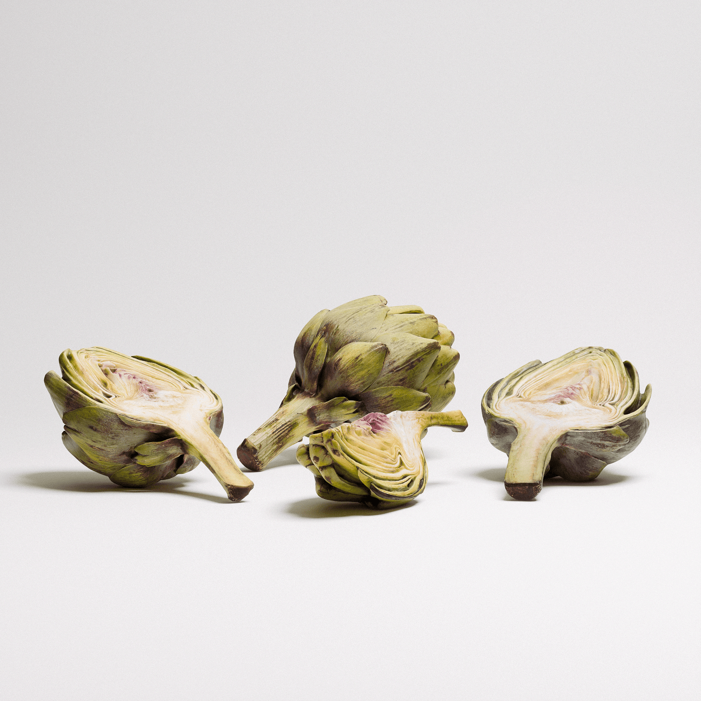 Artichoke Set 02