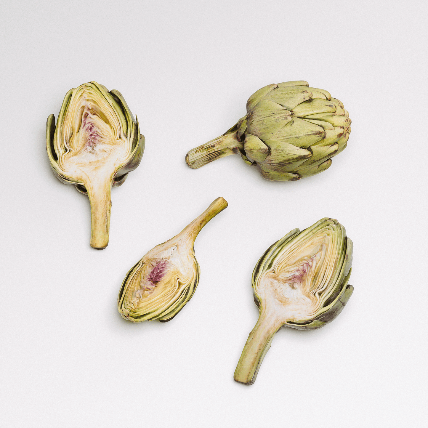 Artichoke Set 02