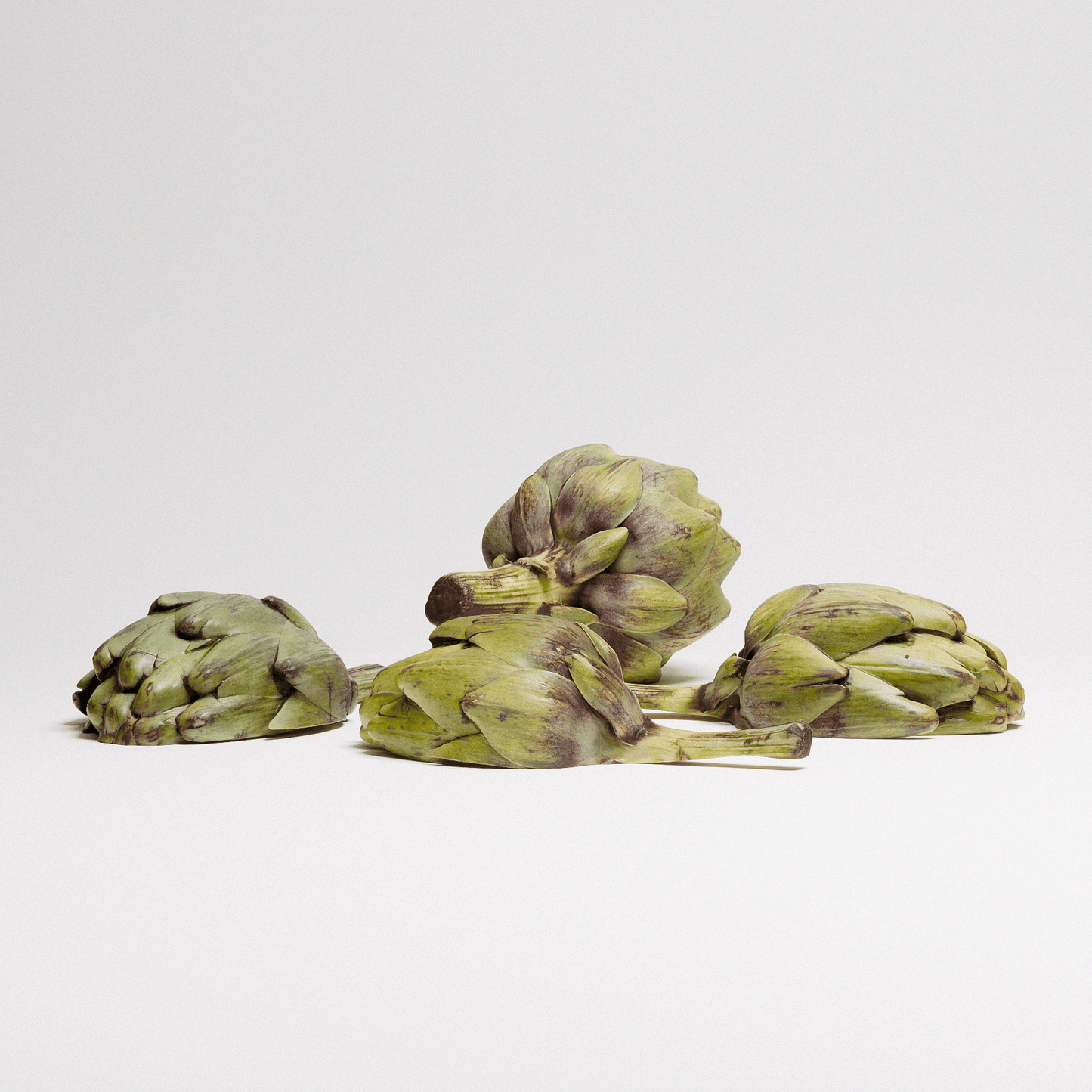 Artichoke Set 02