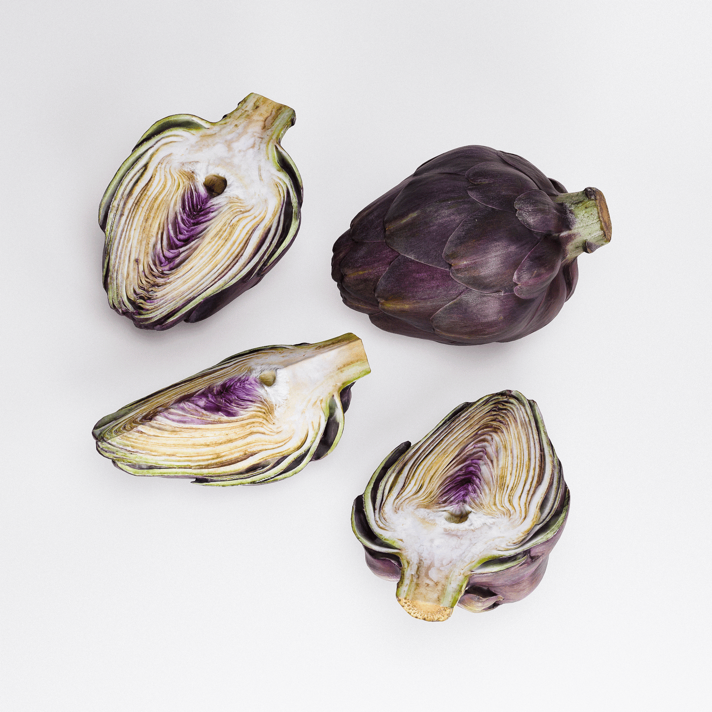 Artichoke Set 04