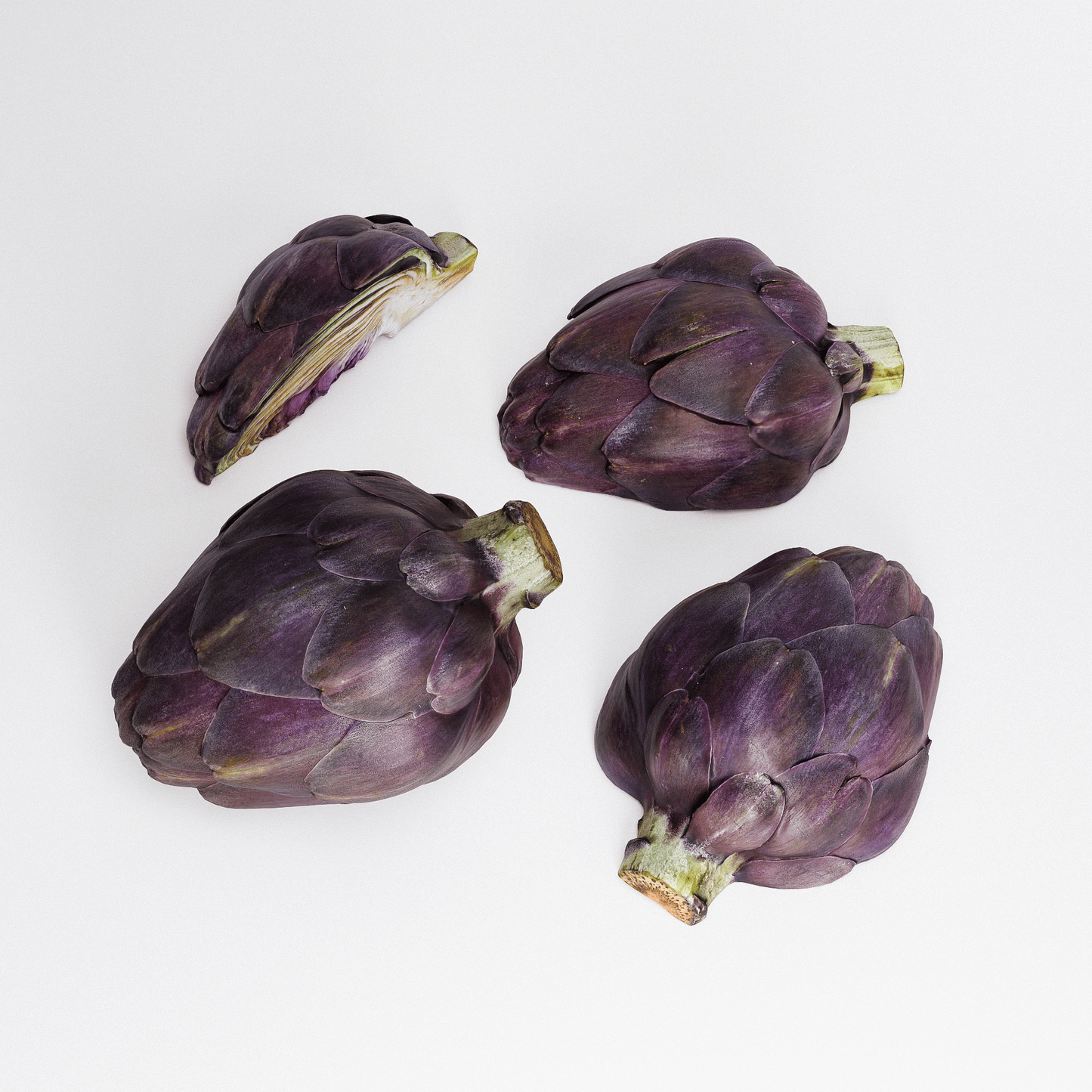 Artichoke Set 04