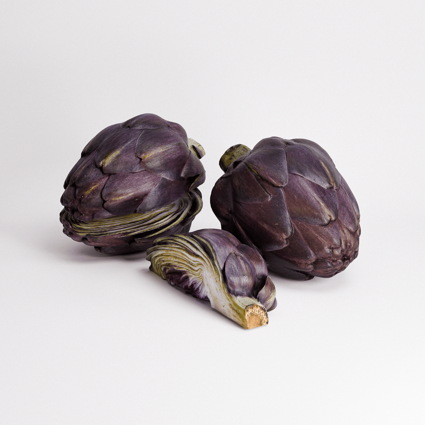 Artichoke Set 04