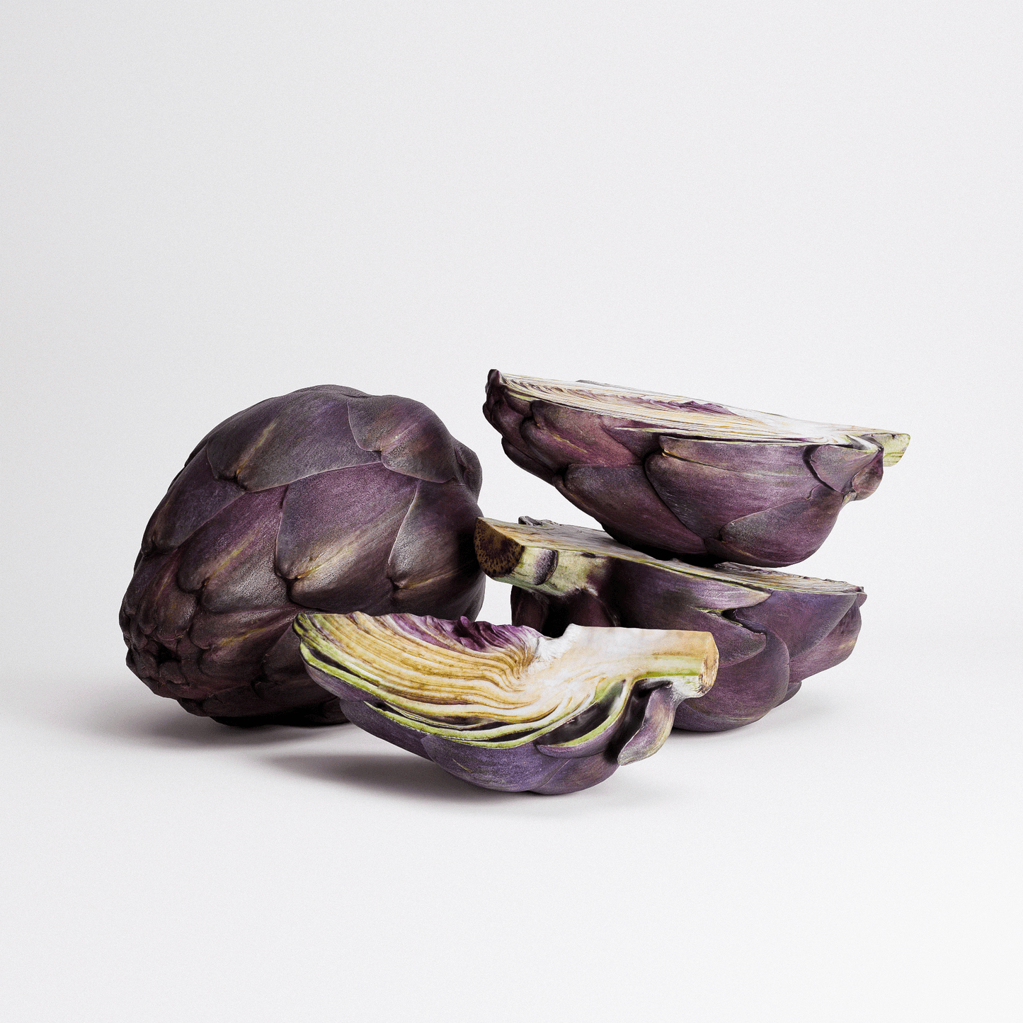 Artichoke Set 04