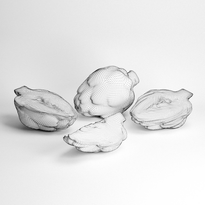 Artichoke Set 04
