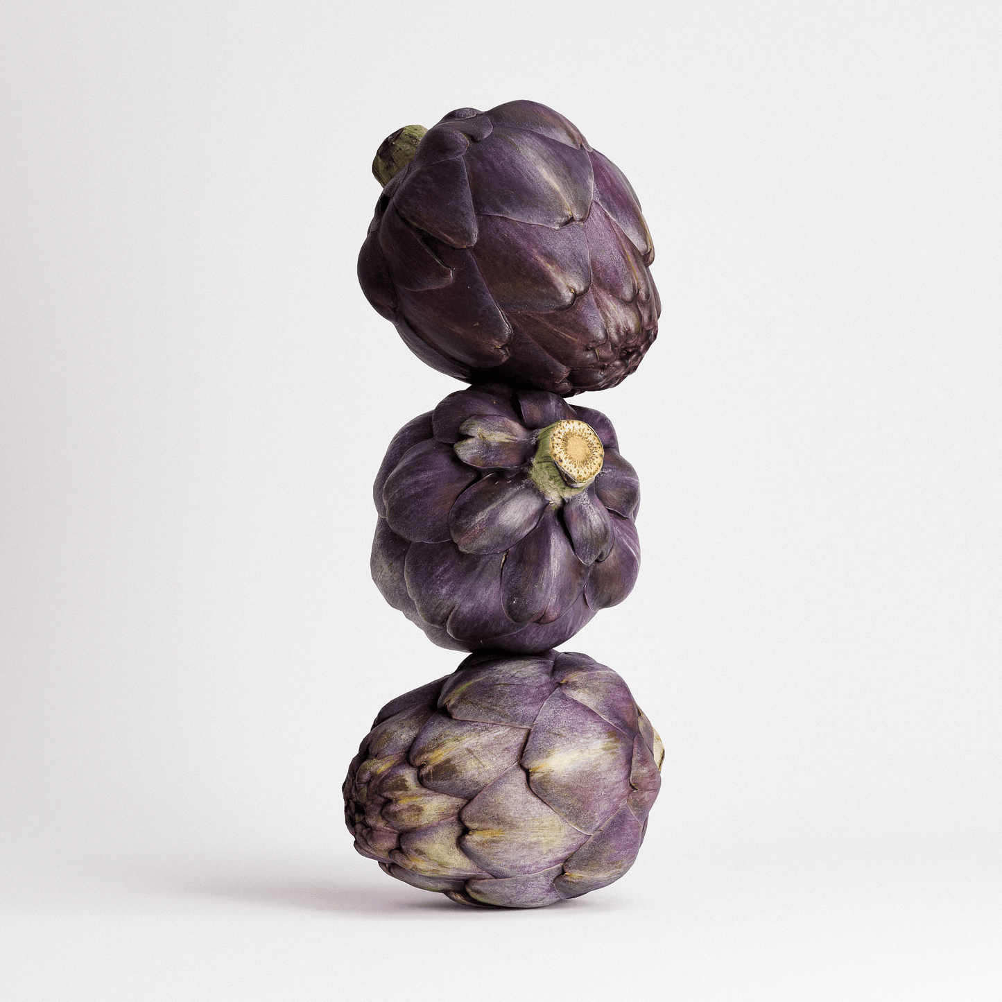 Artichoke Set 03