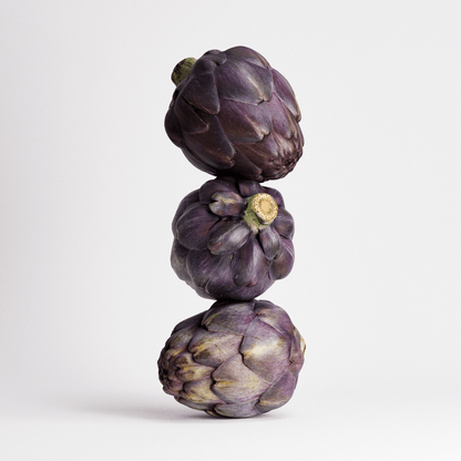 Artichoke Set 03