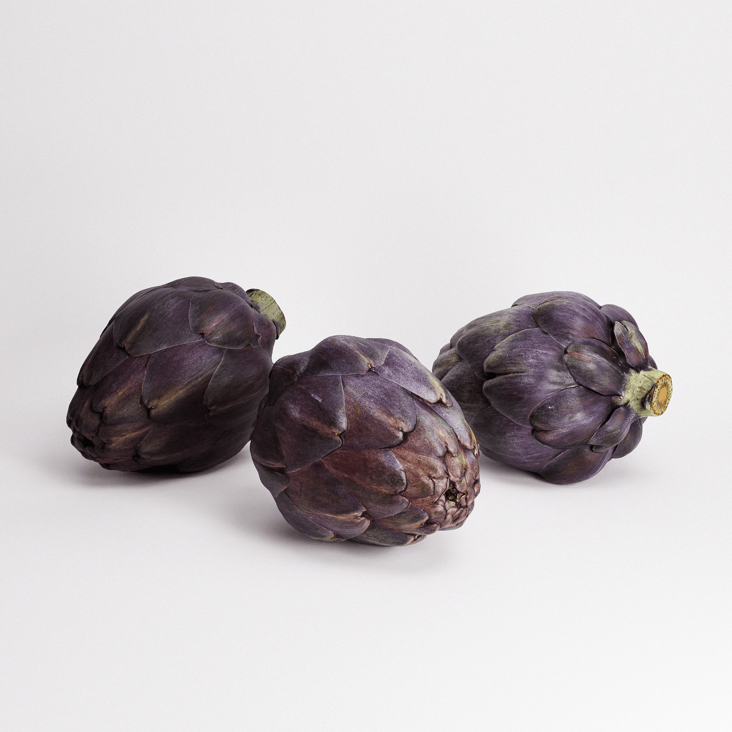 Artichoke Set 03