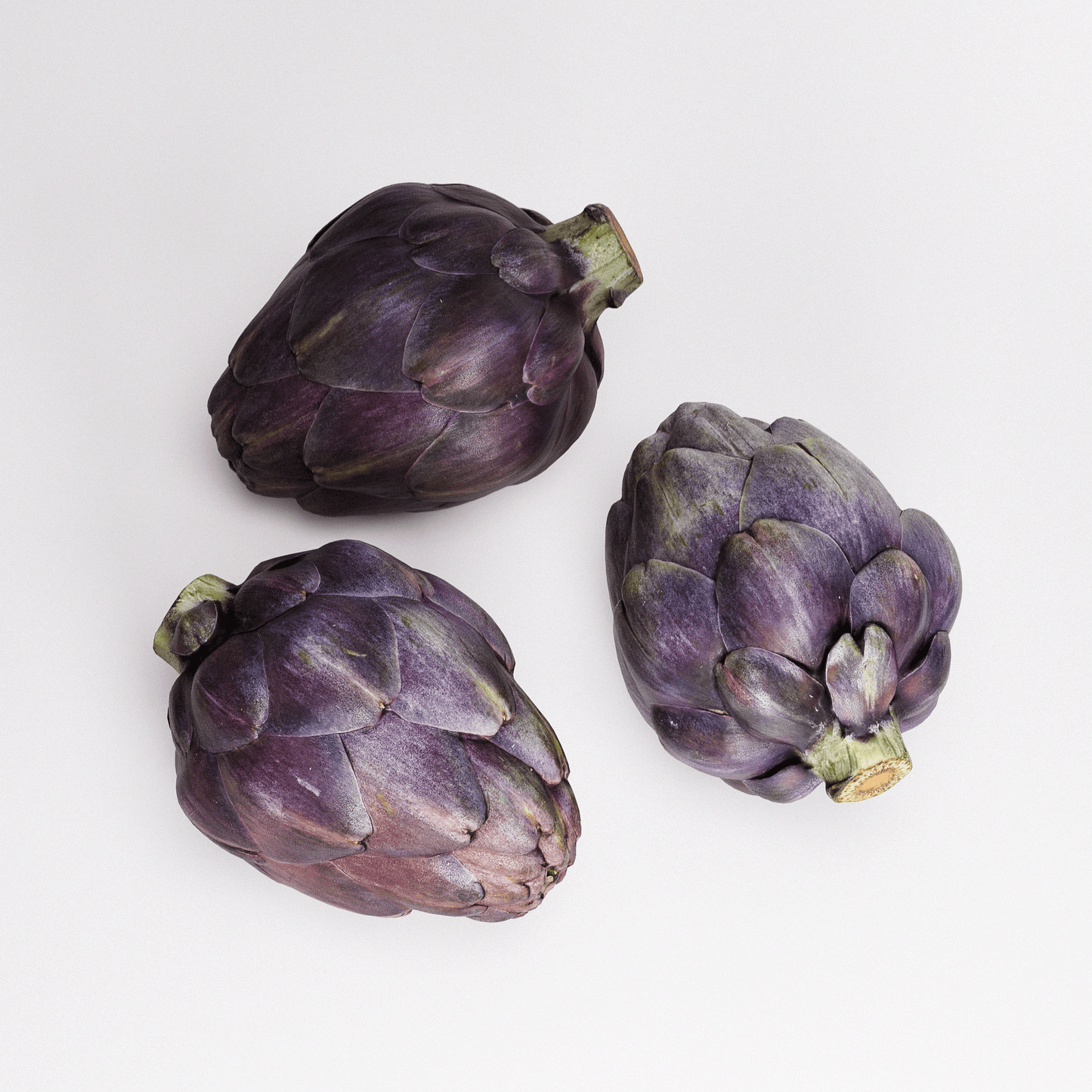 Artichoke Set 03