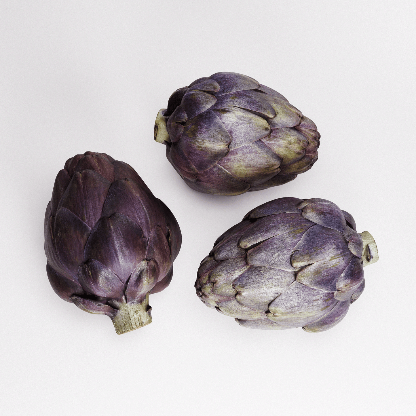Artichoke Set 03