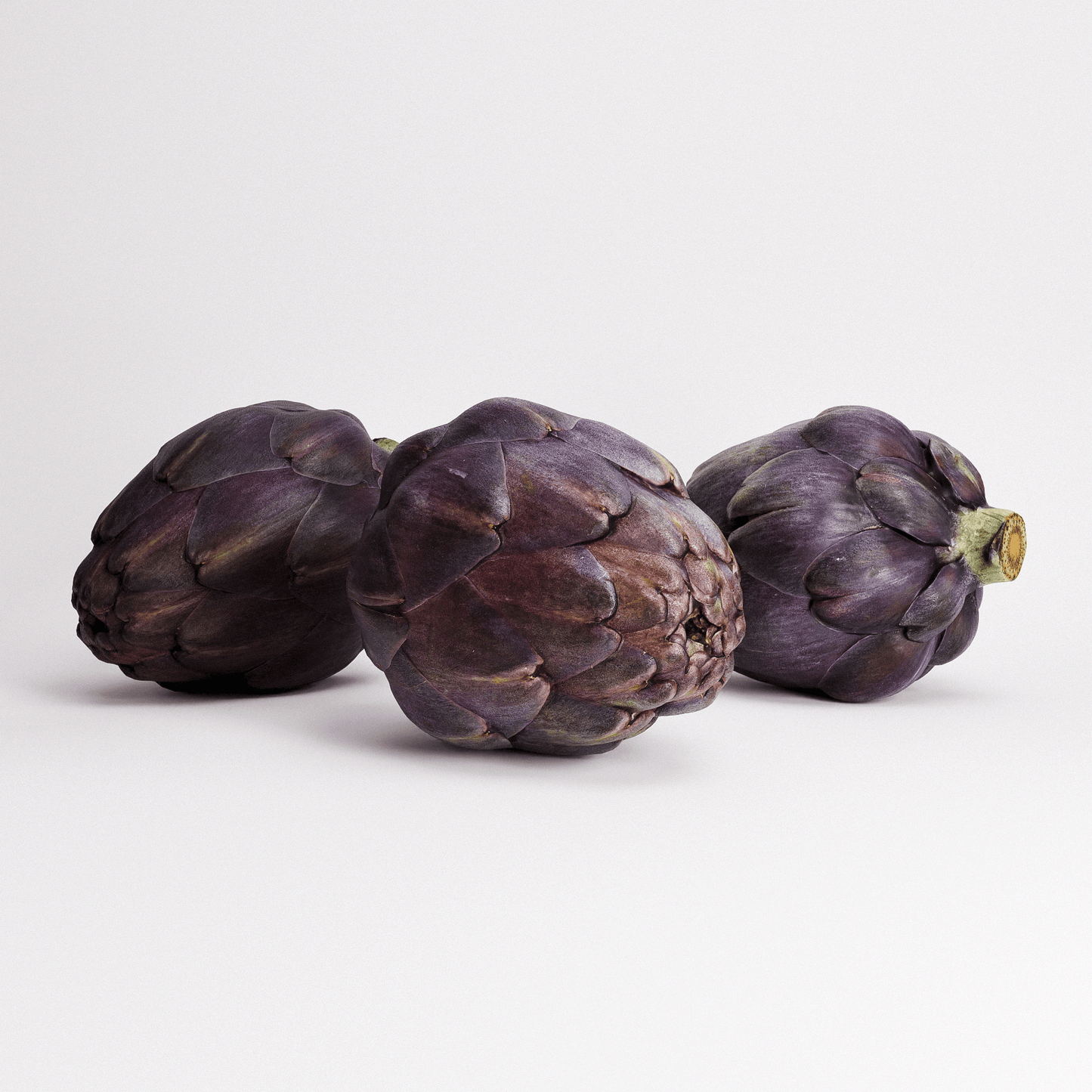 Artichoke Set 03