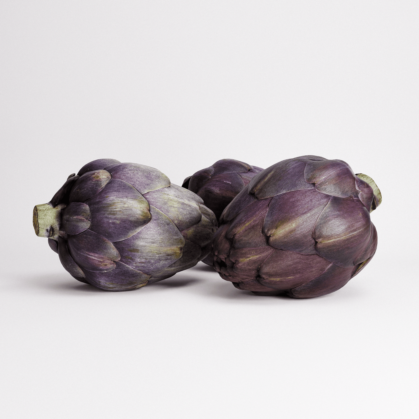 Artichoke Set 03