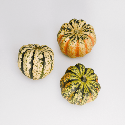 Carnival Squash Set 01