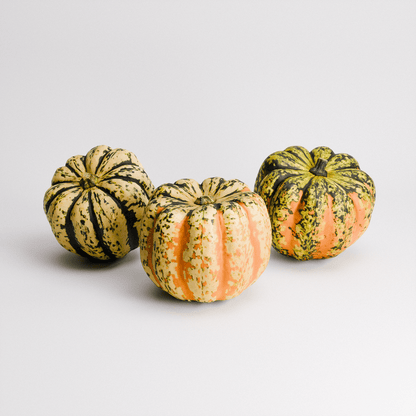 Carnival Squash Set 01