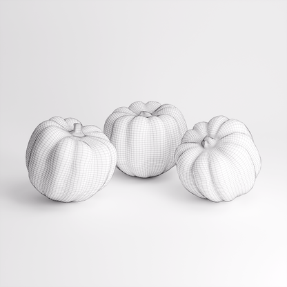 Carnival Squash Set 01