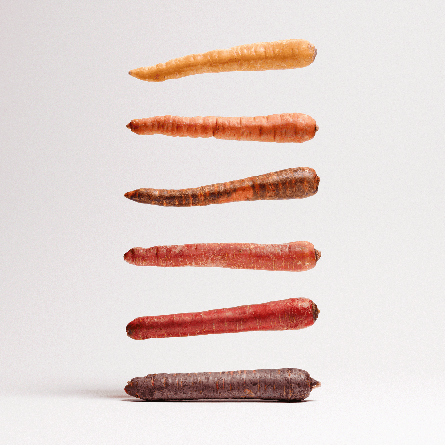 Carrots Set 01
